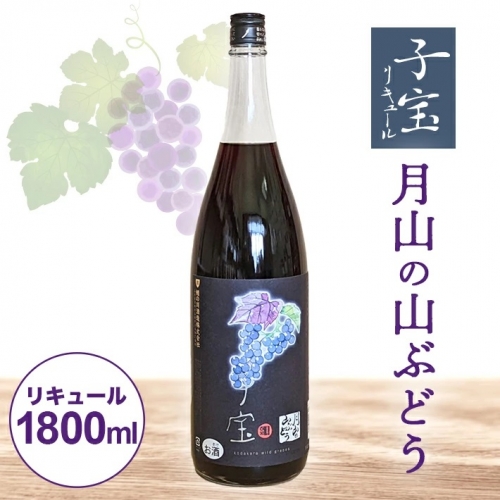 SB0300　酒田の酒屋厳選　子宝リキュール　月山の山ぶどう　1800ml×1本 561282 - 山形県酒田市