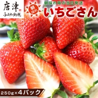 唐津産 いちごさん 250g×4パック(合計1kg) 濃厚いちご 苺 イチゴ 果物 フルーツ