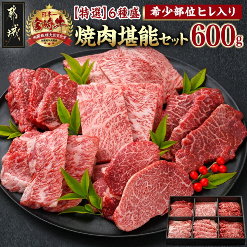 ≪希少部位ヒレ入り!≫ 宮崎牛【特選】6種盛 焼肉堪能セット 600g_24-6502 561948 - 宮崎県都城市