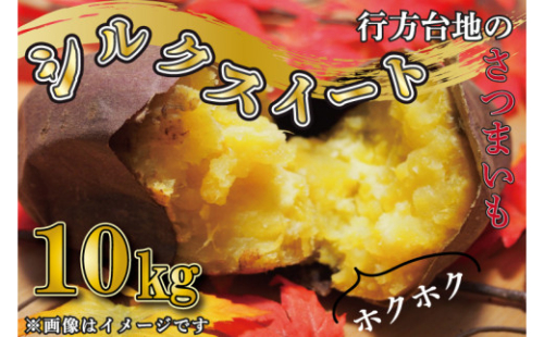 【2026年4月中旬より順次発送】★数量限定★【訳あり】無選別　行方台地のさつまいも　シルクスイート約10kg｜さつまいも 芋 サツマイモ シルクスイート 訳あり わけあり 無選別 茨城県 行方市(CU-85-5)