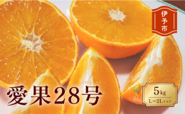 「愛果28号」は愛媛県オリジナルの品種で「紅まどんな」と同じ品種です。果汁がたっぷり、ゼリーのような食感でとても美味しいです。農園直送のため、鮮度が違います。※※お申込前に青果物についての注意事項を必
