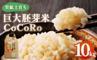 ＜突鉱土育ち＞巨大胚芽米CoCoRo 10kg TY0-0152