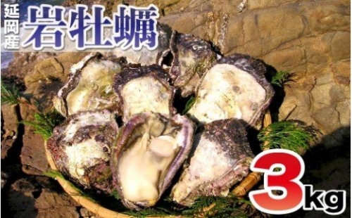 延岡産天然岩牡蠣（生食用）3kg（2024年4月1日から発送開始） 562658 - 宮崎県延岡市
