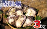 延岡産天然岩牡蠣（生食用）3kg（2024年4月1日から発送開始）