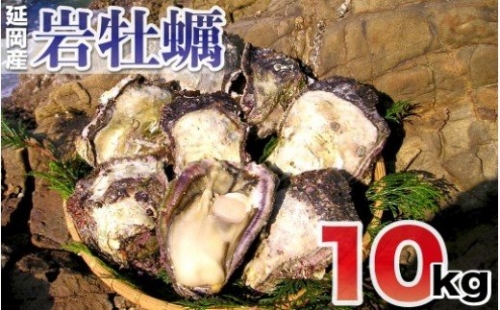 延岡産天然岩牡蠣（生食用）10kg（2024年4月1日から発送開始） 562662 - 宮崎県延岡市