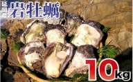 延岡産天然岩牡蠣（生食用）10kg（2024年4月1日から発送開始）