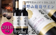 【2018年産】洋野山葡萄ワイン（赤・ミディアム 720ml）2本セット