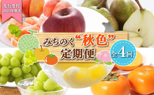 《2023年先行予約》みちのく【秋色】定期便 全4回 FSY-0167 562924 - 山形県山形県庁