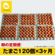 【定期便】3ヵ月連続お届け　美ら卵養鶏場の卵　各月120個