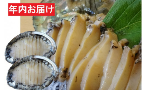 5650 0441 12月 年末年始用 三陸産 蝦夷あわびのお刺身 殻付き 2個 解凍するだけ 下処理済み スライス済み 年内配送 岩手県大船渡市 Au Pay ふるさと納税