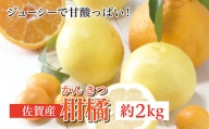 b-375 柑橘 詰め合わせ 佐賀 産 約 2kg | 佐賀県 産 柑橘 みかん オレンジ 旬 人気 詰め合わせ
