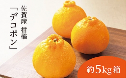 ｂ－３７９　【２月から順次発送】佐賀産柑橘（かんきつ）『デコポン』約５ｋｇ箱