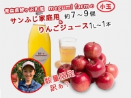 【数量限定】【家庭用】megumi farmのりんご・ジュースセット 青森県鰺ヶ沢町産 サンふじ小玉7～9個・ジュース1L×1本（品種おまかせ）訳あり