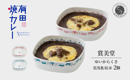有名窯元 賞美堂 × 有田焼カレー うつわ付き 2個【プレアデス】有田焼 うつわ 器 食器 カレー スパイス 佐賀県産米 人気 お取り寄せ 冷凍 ギフト プレゼント 贈り物 F55-1 563895 - 佐賀県有田町