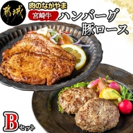 宮崎牛ハンバーグ・豚ロース味噌漬けBセット_MJ-2513