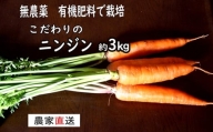 甘いニンジン 3kg(約9本)有機肥料で育て除草剤・農薬不使用【30028】