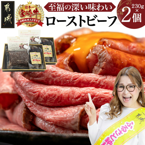 宮崎牛ローストビーフ 230g×2個_26-2601 56406 - 宮崎県都城市
