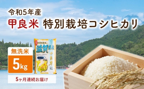 【令和5年産】甲良米 特別栽培コシヒカリ 無洗米 5kg 5ヶ月連続 564103 - 滋賀県甲良町