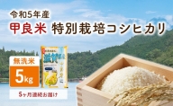 【令和5年産】甲良米 特別栽培コシヒカリ 無洗米 5kg 5ヶ月連続