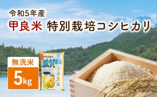 【令和5年産】甲良米 特別栽培コシヒカリ 無洗米 5kg 564104 - 滋賀県甲良町
