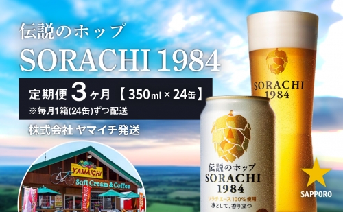 ◆3ヵ月連続お届け定期便◆SORACHI 1984 2箱（350ml×24缶） 564304 - 北海道上富良野町
