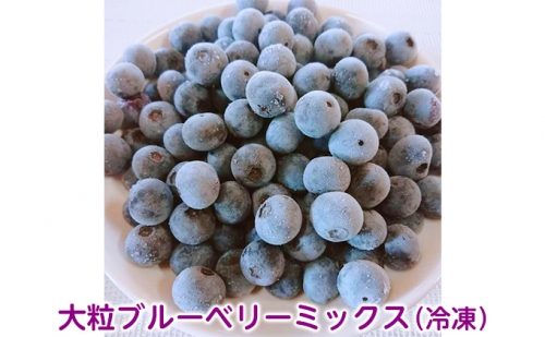 大粒ブルーベリーミックス（冷凍） 564358 - 滋賀県米原市