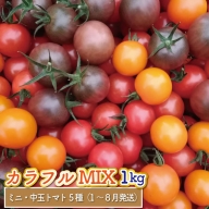[約1kg]カラフル トマト 5種MIX フルティカなど]ましまファーム ミニトマト フルーツトマト アイメック(登録商標) [常温]送料無料 [1月〜7月頃発送]ミックス フルティカ&ミニ4種