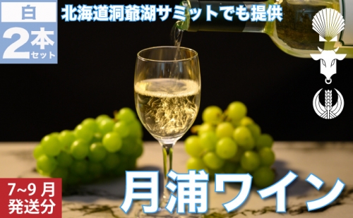 月浦ワイン 白750ml×2本  7月～9月配送［冷蔵］白ワイン