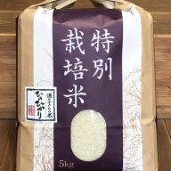 【令和5年度産】奈良県産　特別栽培米　ひのひかり　10kg（5kg×2）
