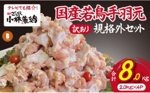 【テレビで紹介！元祖ざる焼き小林養鶏】国産若鶏の手羽元　訳あり規格外品セット（2kg×4P 国産 鶏肉 訳あり 若鶏 手羽元 唐揚げ 煮物 大容量 限定 冷凍）