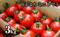 No.536 つぶよりミニトマト　約3kg箱入 ／ とまと 野菜 とれたて 愛知県