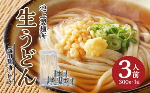 本家　池上製麺所　生うどん（鎌田醤油付）1袋（3人前）