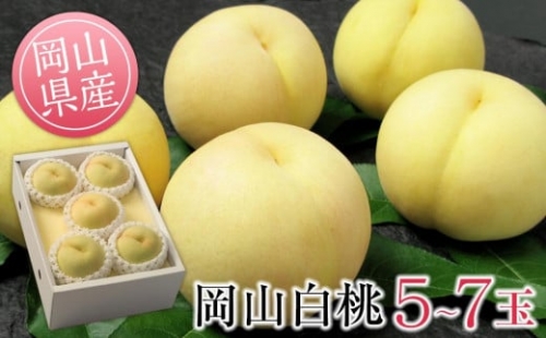 GU03　◆先行受付◆　岡山県産　清水白桃5～7玉　1.5kg以上　2023年発送