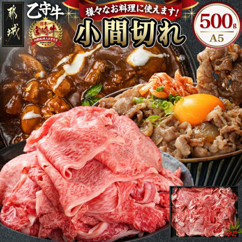 数量限定!【宮崎牛A5】小間切れ500g(乙守牛)_19-6502 567349 - 宮崎県都城市