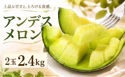 【2027年発送】 アンデス メロン 2玉入り1箱 2.4kg前後 メロンの村田 メロン めろん 舐瓜 青肉 追熟 産地直送 メロン めろん 定番 ギフト プレゼント 贈り物 国産 フルーツ 舐瓜 果物 茨城 鉾田市 メロンの村田 568018 - 茨城県鉾田市