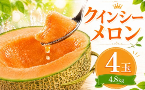 【2027年発送】 クインシー メロン 4玉入り1箱 約4.8kg前後 クインシーメロン メロンの村田 先行予約 メロン めろん 舐瓜 赤肉 追熟 産地直送 メロン めろん おすすめ 人気 大きい 定番 ギフト プレゼント 舐瓜 贈り物 国産 フルーツ 果物 茨城 鉾田 568020 - 茨城県鉾田市