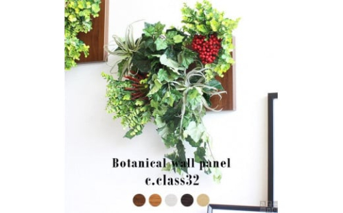 Botanical c.class 32　ブラウン