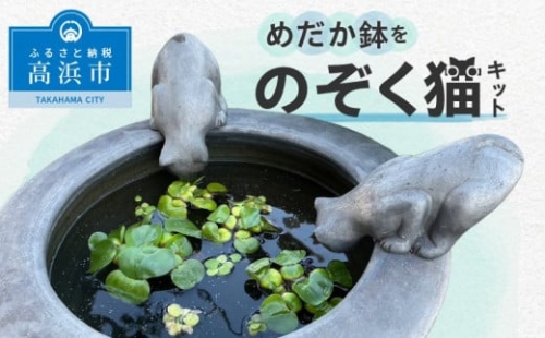 めだか鉢をのぞく猫キット（いぶし色） 568127 - 愛知県高浜市
