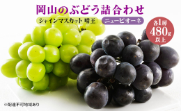 【配達不可：北海道・沖縄・離島】 ●先行予約●収穫時期になりましたら順次出荷します！ ニューピオーネは強い甘みとバランスの良い酸味を持ち、大変風味の良いぶどうです。皮離れがよく口いっぱいにほおばる程の