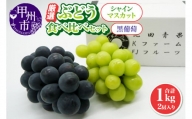厳選 葡萄食べ比べセット 1.0kg 2房入り【2024年発送】（IS）B-474
