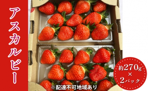 しょうこおばあちゃんが作った【イチゴ】（アスカルビー）約270g×2パック 568700 - 奈良県大和郡山市