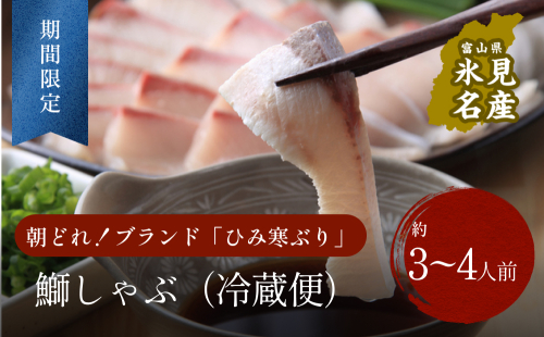 【先行予約】【期間限定】 ひみ寒ぶり ぶりしゃぶ 3～4人前 〈配送地域限定〉 568993 - 富山県氷見市