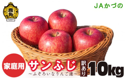 《先行予約》訳あり 鹿角りんご「サンふじ」ふぞろいなりんご達 10kg【JAかづの】●2025年1月中旬頃発送開始 りんご 林檎 リンゴ 訳あり 家庭用 秋田県 秋田 あきた 鹿角市 鹿角 かづの JA 東北 10kg 10Kg 10KG