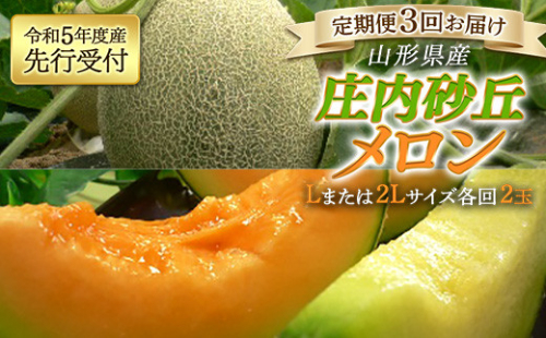《先行予約 令和5年度産》庄内砂丘メロン 定期便 3回お届け FSY-0186 569111 - 山形県山形県庁