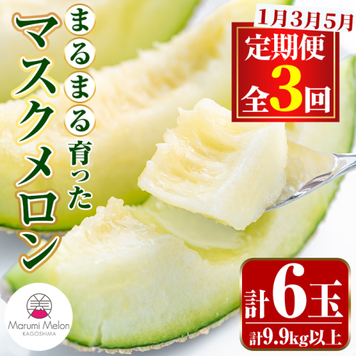 【0642210b】＜定期便・全3回(1月・3月・5月)＞まるまる育ったマスクメロン(2玉×3回・計9.9kg以上) マスクメロン フルーツ 果物 果実 定期便 数量限定 【まる美園芸組合】 569122 - 鹿児島県東串良町