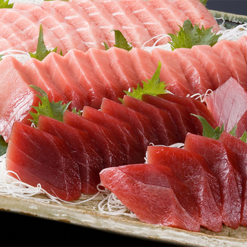 a20-239　焼津港水揚げ ・南まぐろ中トロ付きセット1 56987 - 静岡県焼津市