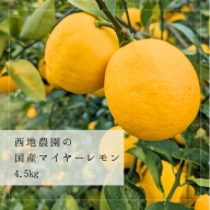 【先行予約】西地農園の国産マイヤーレモン 4.5kg【2025年1月初旬から順次発送致します。】  / 檸檬 レモン れもん 柑橘 国産 大容量 数量限定 ご家庭用 家庭用