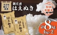 【特別祈願米】米食味鑑定士厳選新庄産はえぬき（精米）4kg×2 F3S-1535
