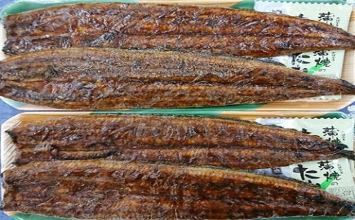 a30-182　カネト平田うなぎ長焼き4本セット約160g×4 57065 - 静岡県焼津市