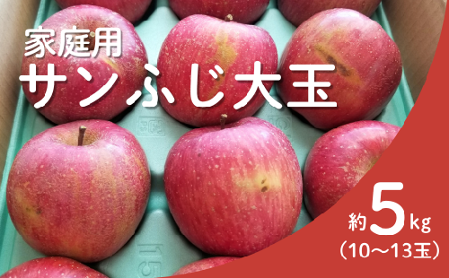 KR20-25A りんご サンふじ（大玉）家庭用 約5kg（10～13玉） / 11月下旬頃～配送予定 // 長野県 南信州 リンゴ 林檎 ふじ さんふじ 訳あり 自家用 農家直送 農家支援 産地直送